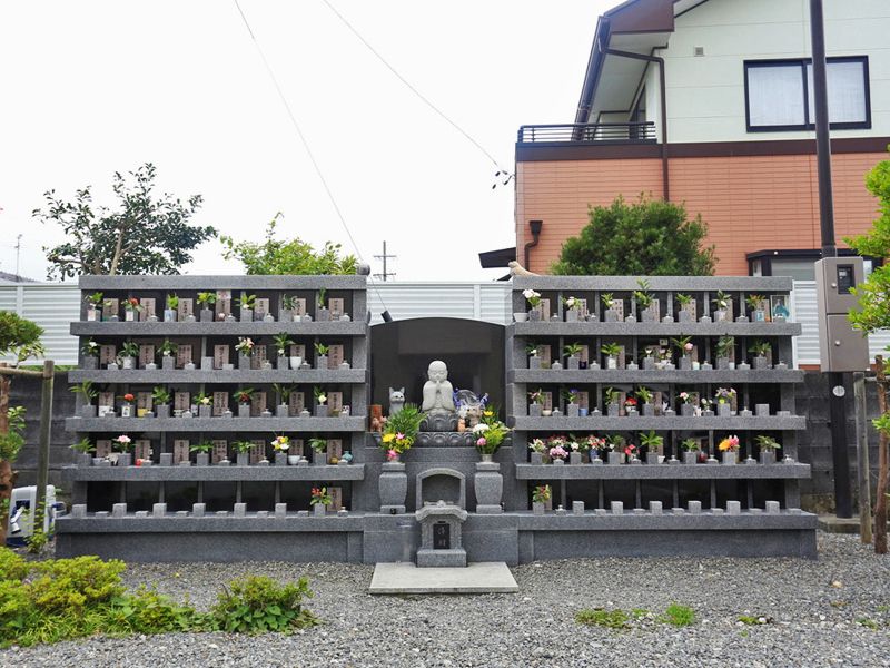 新定院
