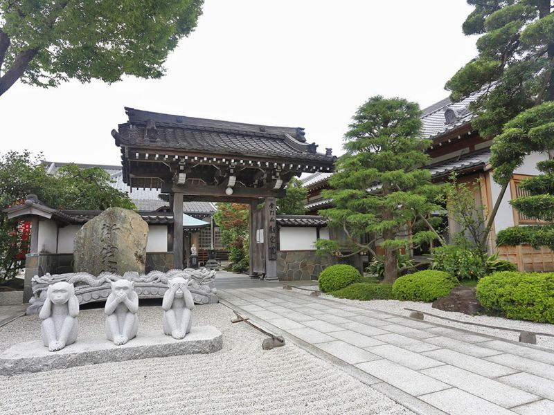 新定院