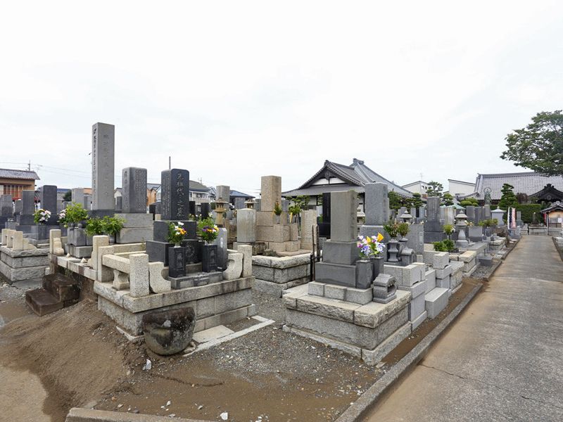 新定院