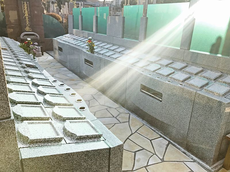 オリーブ光の庭園