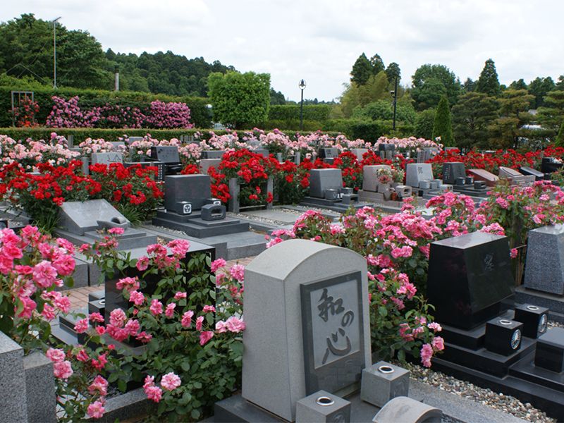 佐倉ふれあいパーク　洋型墓石とバラの花