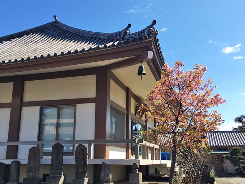遍照院