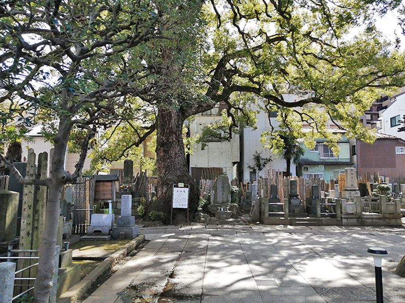 大雄寺