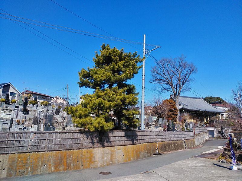 常楽院墓苑 永代供養墓・樹木葬