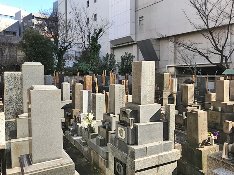 天陽院