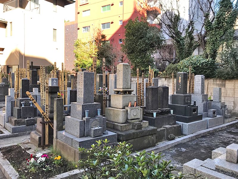 天陽院