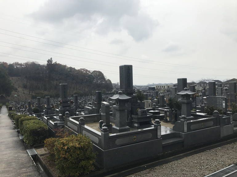 大阪狭山市営 西山霊園　参道沿いにある植栽