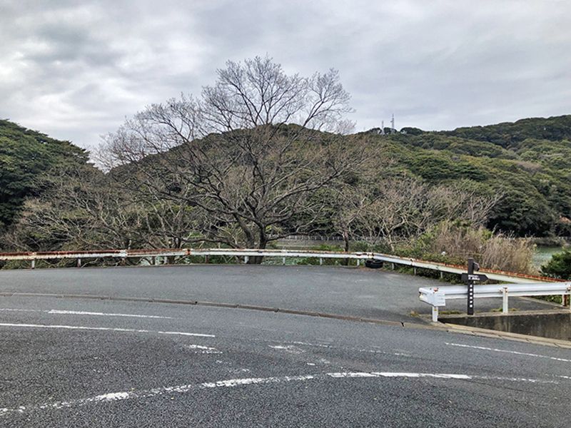 北九州市立 城山霊園