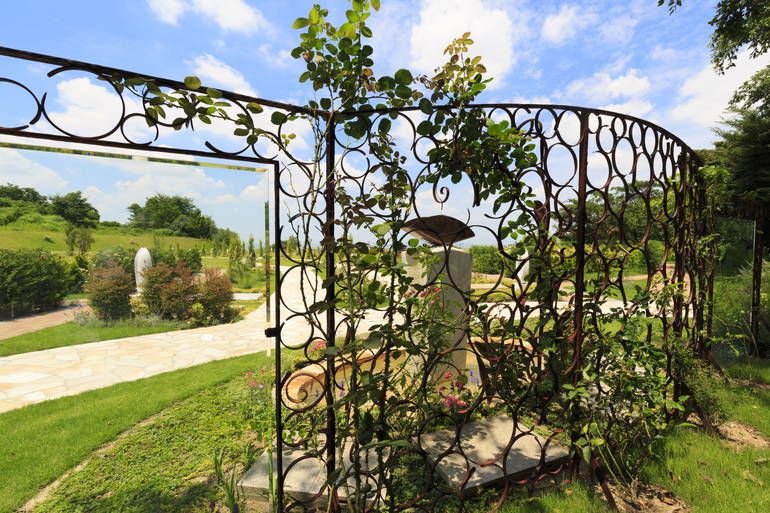 ふれあいの杜 天空　トレリスに絡む植物