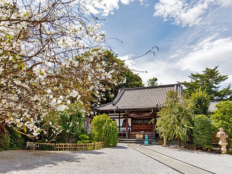 本長寺 樹木葬 星影～ほしかげ～