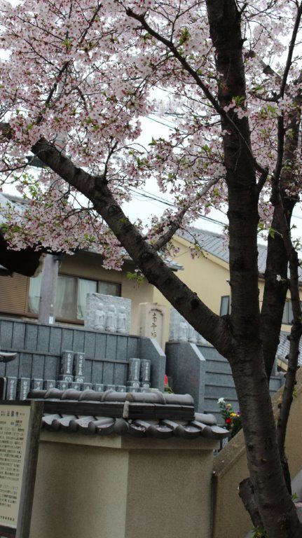 法園寺永代供養