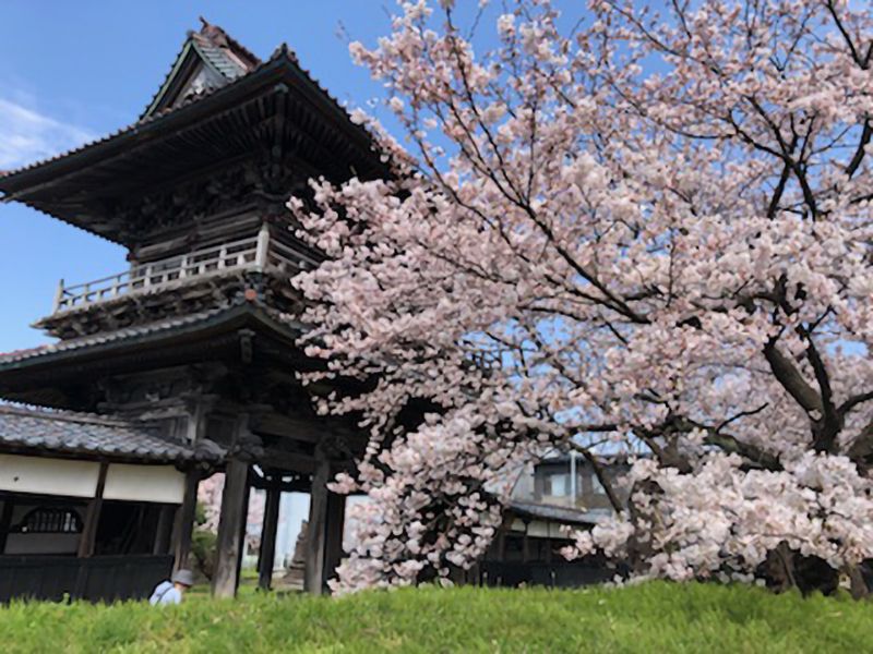 宝光寺 のうこつぼ