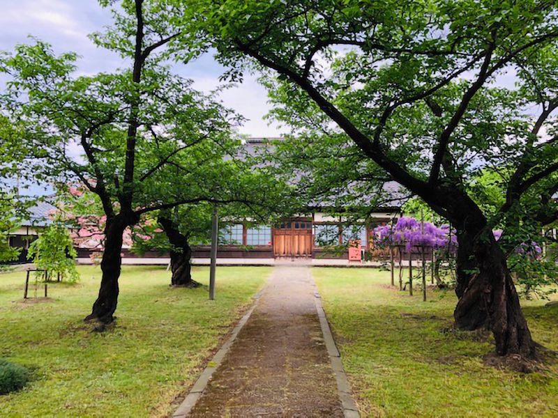 宝光寺 のうこつぼ