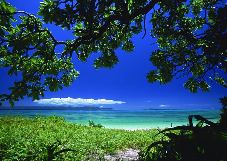 沖縄に眠る永代供養 ロハスエンディング しま風
