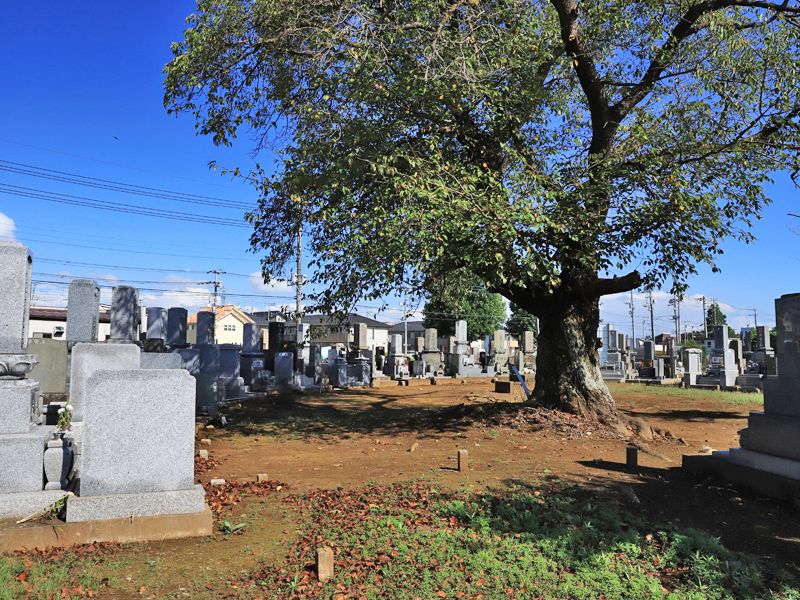 東まみあな公苑