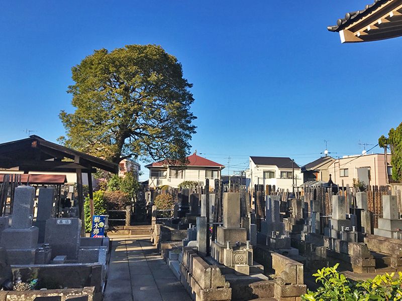 下高井戸 龍泉寺墓苑　日当たりがよい墓域