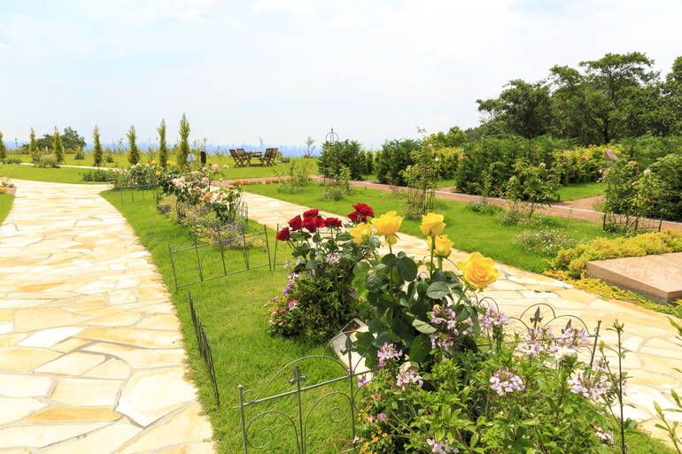 ふれあいの杜 天空　花と緑で飾られた参道沿い