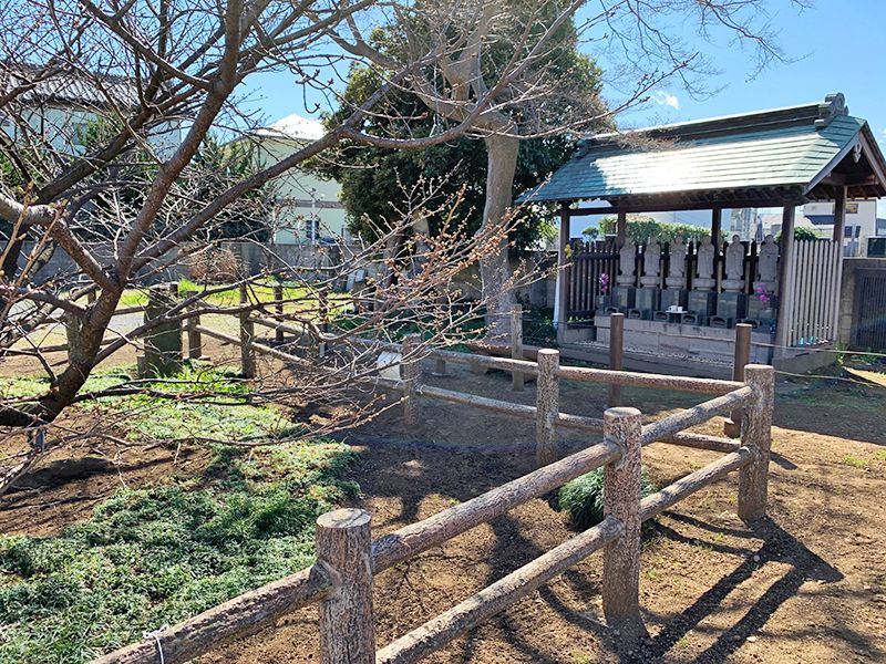 志木市営 亭の下富士見墓地