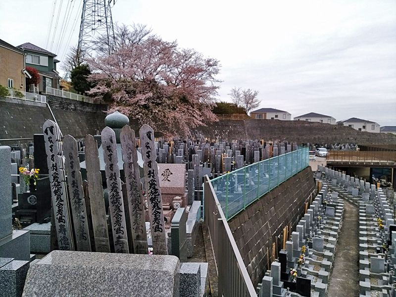 霊園やすらぎの丘　斜面にある一般墓