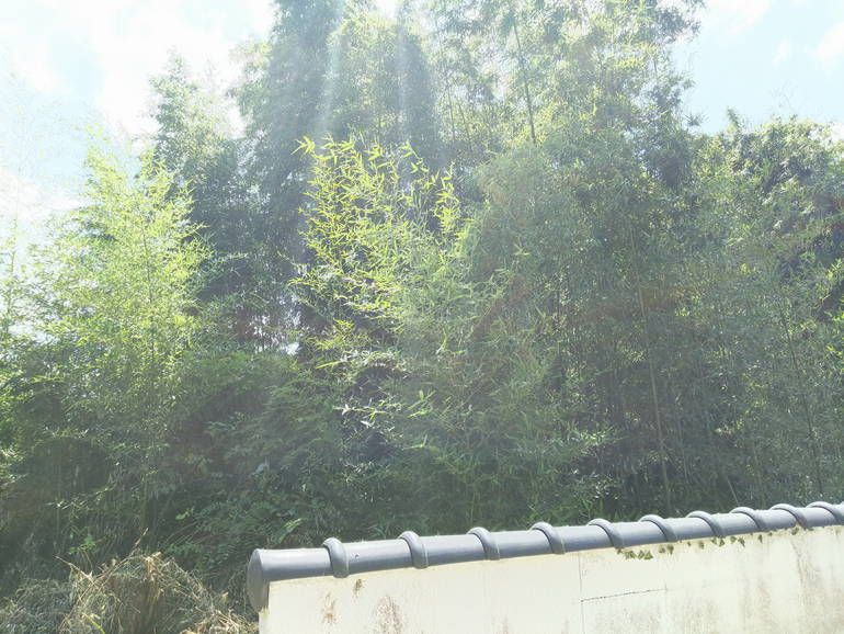 東広島市営中屋谷第1・第2墓園