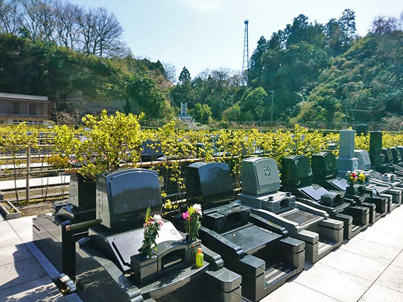 横浜永久の杜２期