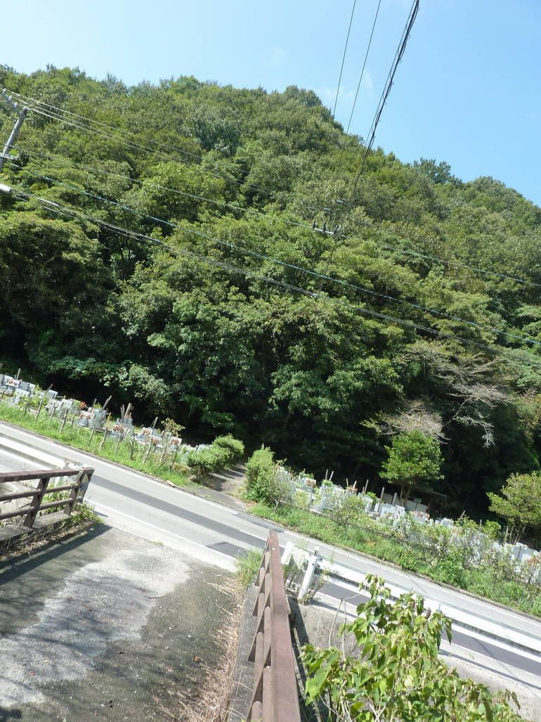 松山市営 横谷墓地