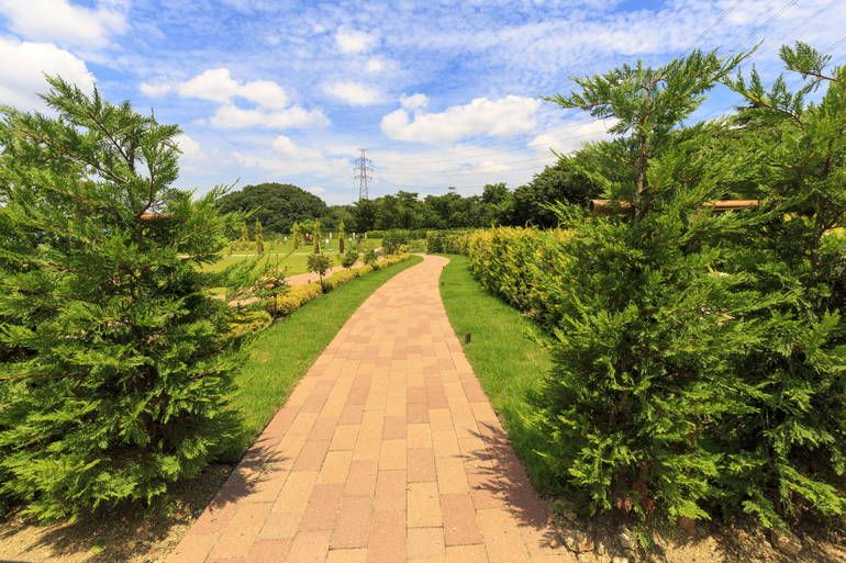 ふれあいの杜 天空　バリアフリー設計の参道
