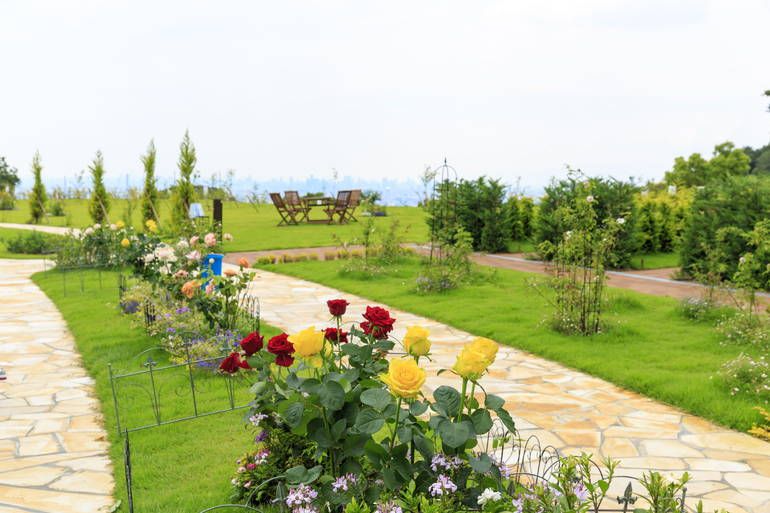 ふれあいの杜 天空　色とりどりに咲く花
