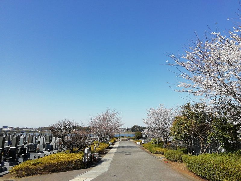 柏湖南聖地公苑　自然豊かな苑内