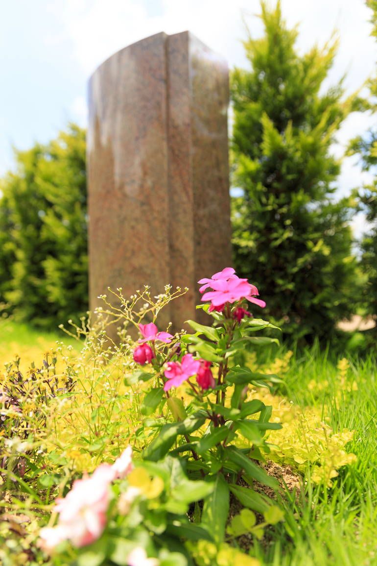 ふれあいの杜 天空　可愛らしい花