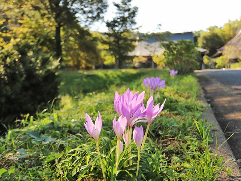 保泉寺むさしの浄苑