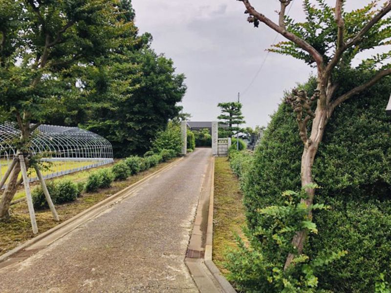 福嚴寺 のうこつぼ