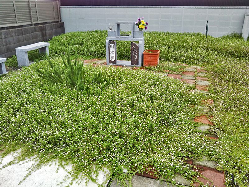 彩の里 大原墓苑