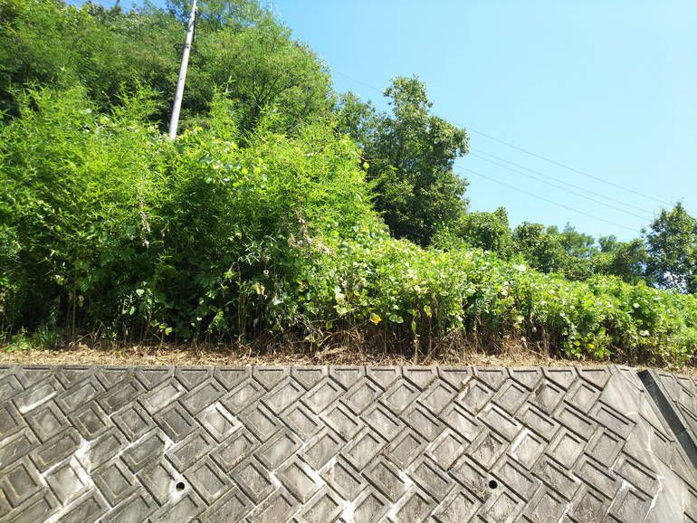 東広島市営中屋谷第1・第2墓園