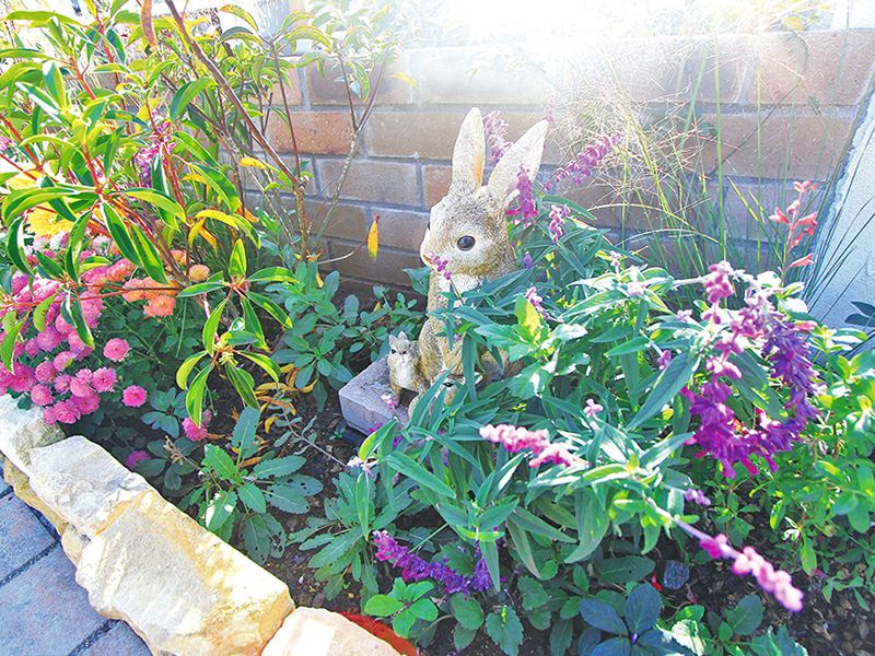 ハートフルガーデン葛飾鎌倉