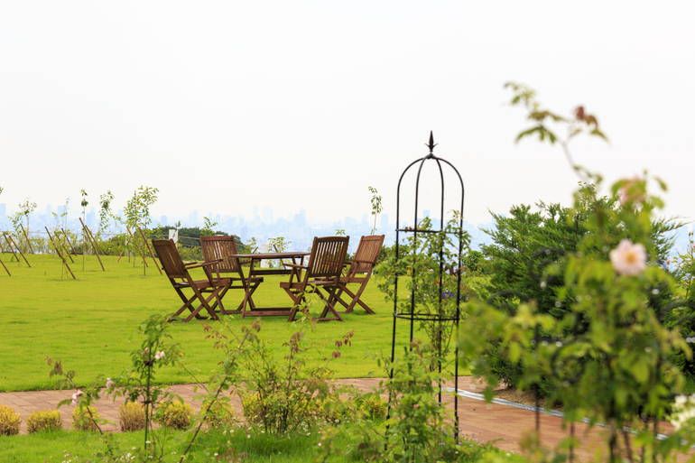 ふれあいの杜 天空　草原と休憩スペース