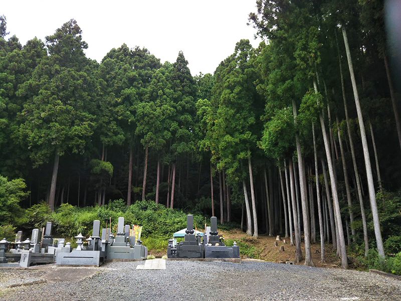 自然豊かな杜 自然葬墓苑
