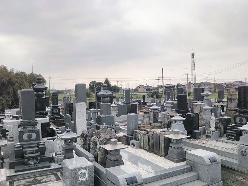 寶生寺（宝生寺）