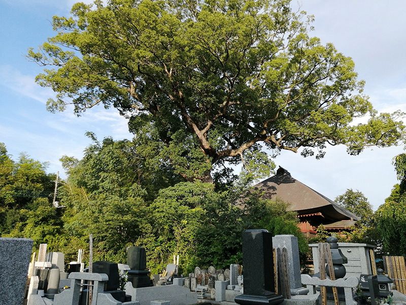 東漸寺墓苑