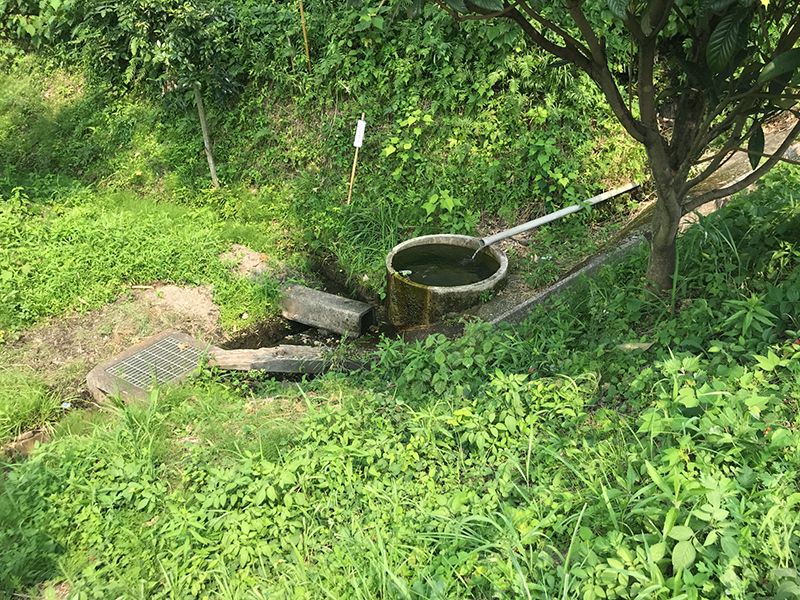 西光寺墓地