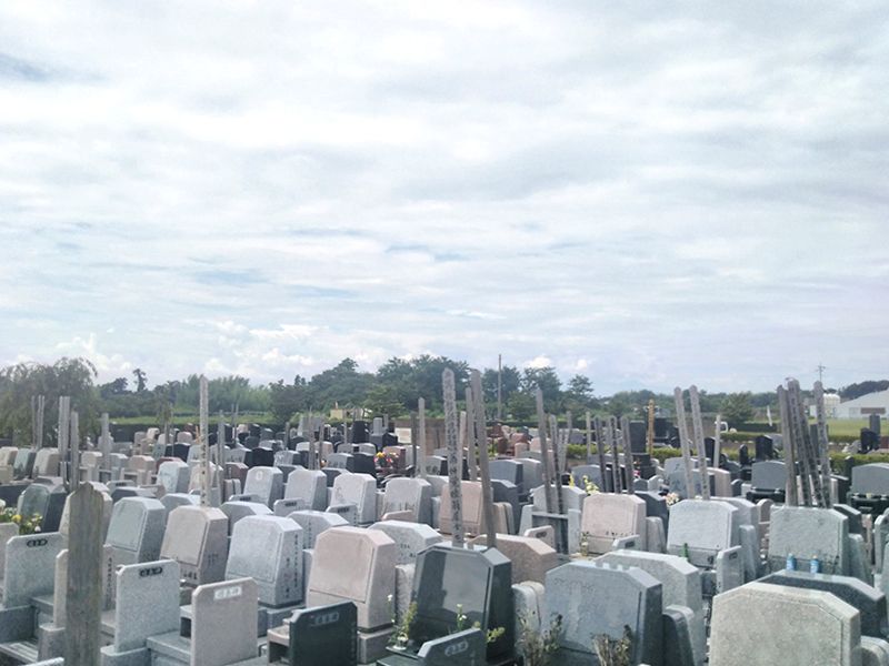 メモリーズパーク千の風