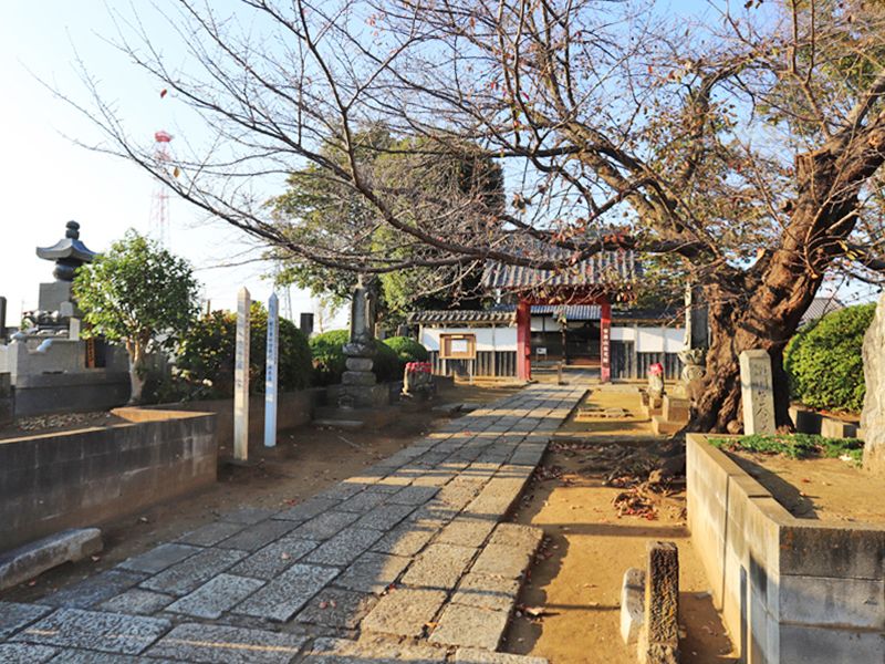放光院