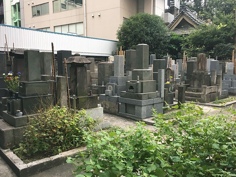 天陽院