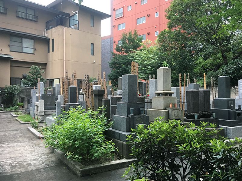 天陽院