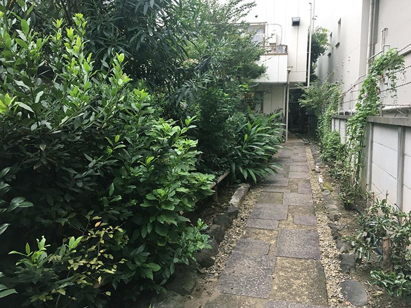 天陽院
