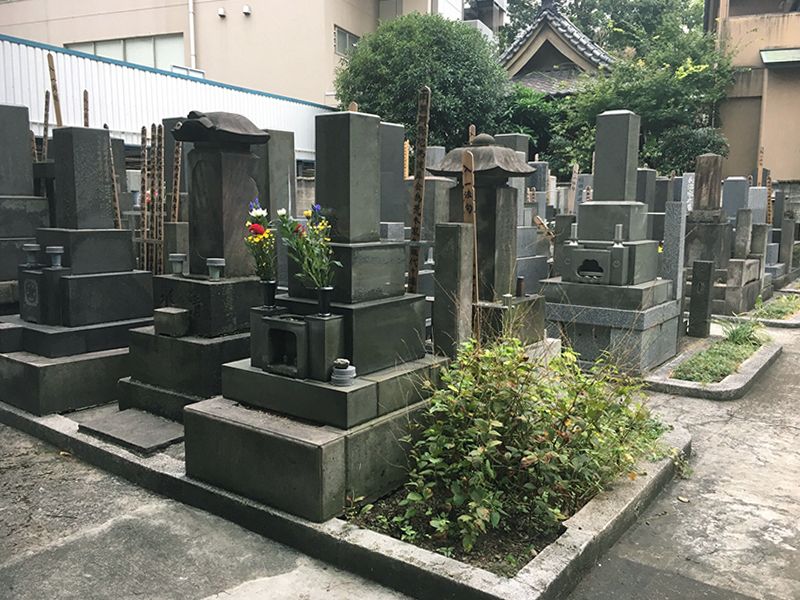 天陽院