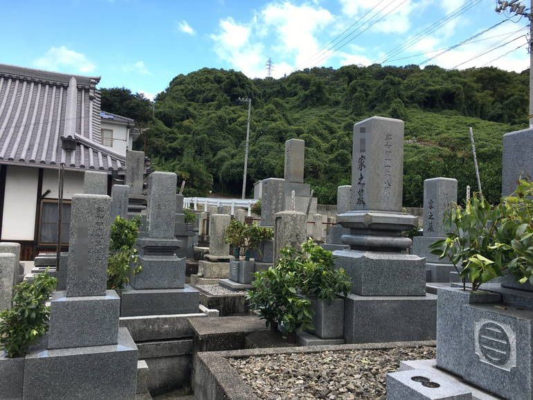 大徳寺