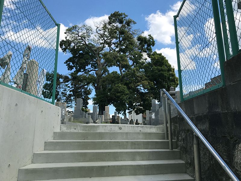 岡上の町墓地