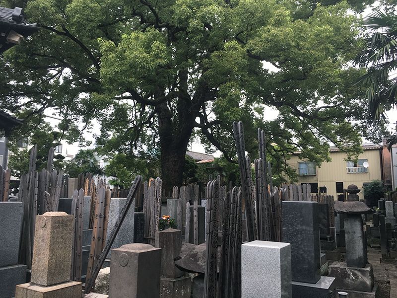大雄寺