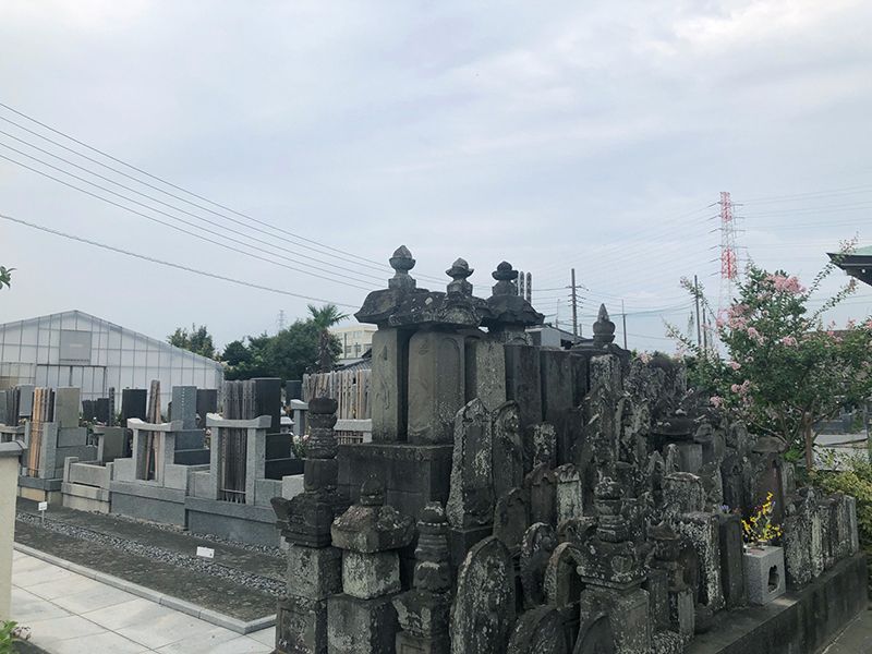 市川中央メモリアル風の丘